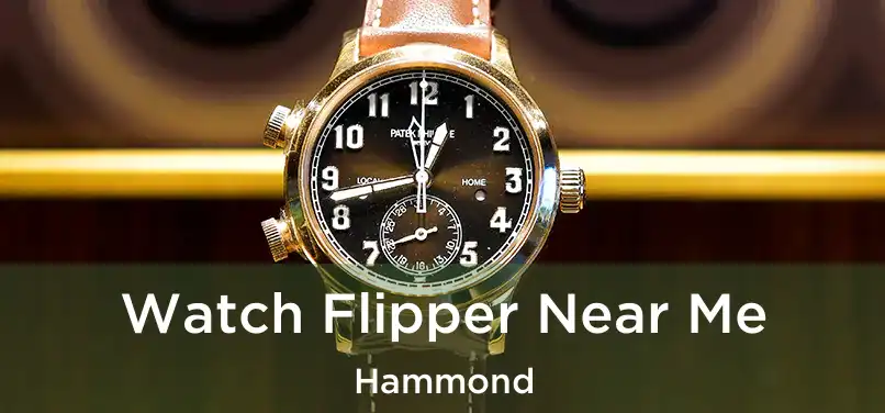 Watch Flipper Near Me Hammond